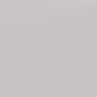 it professional portrait